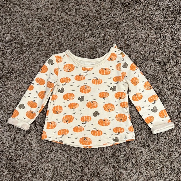 Little planet autumn pumpkin long sleeve top - Picture 3 of 6